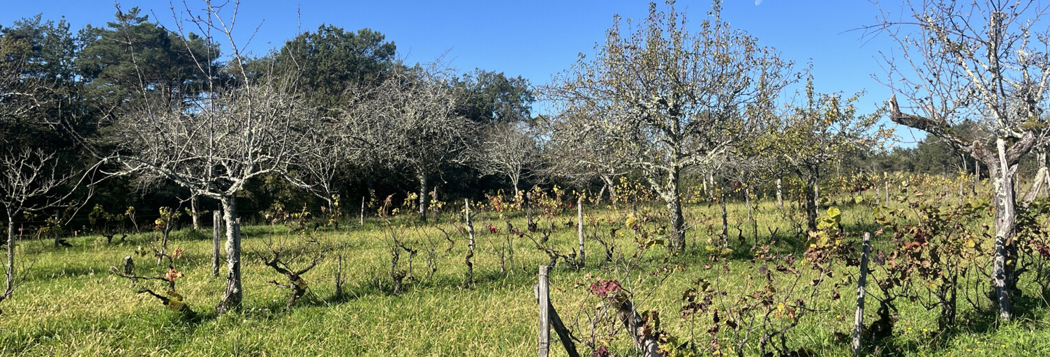 Terrain  2199 m² à vendre à Sarlat-la-Canéda (24200)