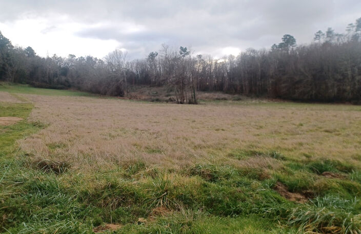 Terrain à batir de 4000m2 entre Carsac et Sarlat — photo 3