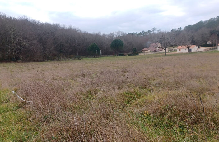 Terrain à batir de 4000m2 entre Carsac et Sarlat — photo 5