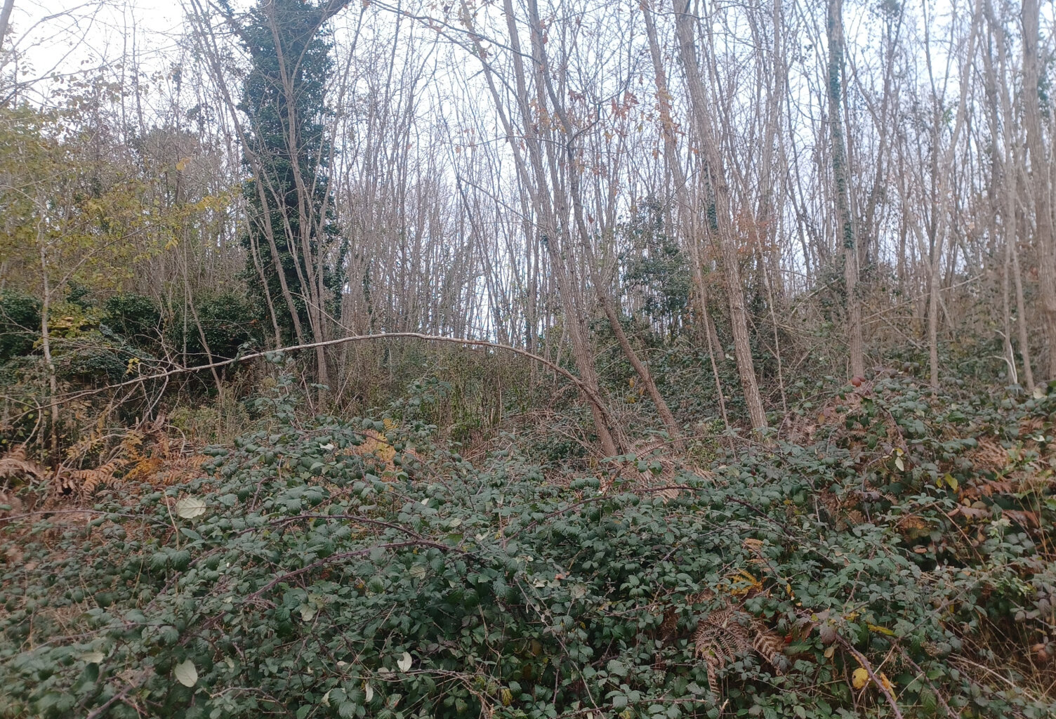 Terrains à batir sur la commune de Meyrals — photo 1