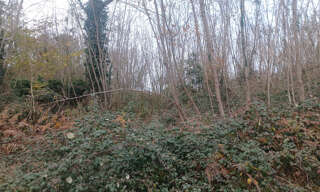 Terrain  2444 m² à vendre à Meyrals (24220)