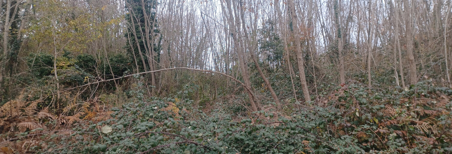 Terrain  2444 m² à vendre à Meyrals (24220)