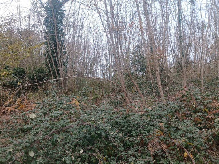 Terrains à batir sur la commune de Meyrals — photo 1