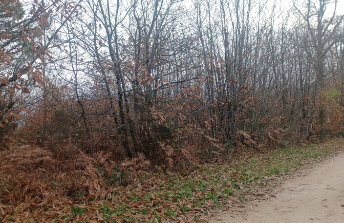 Terrains à batir sur la commune de Meyrals — photo 2