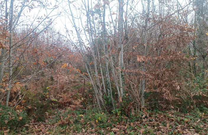 Terrains à batir sur la commune de Meyrals — photo 3
