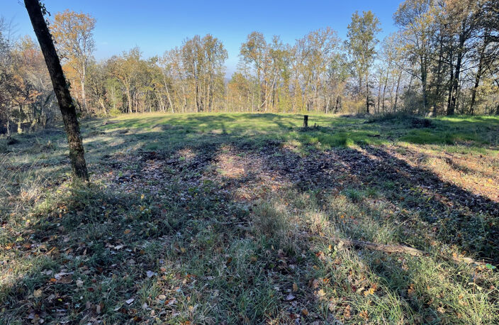 TERRAIN de 6492 m2 avec CU - DOMME — photo 3