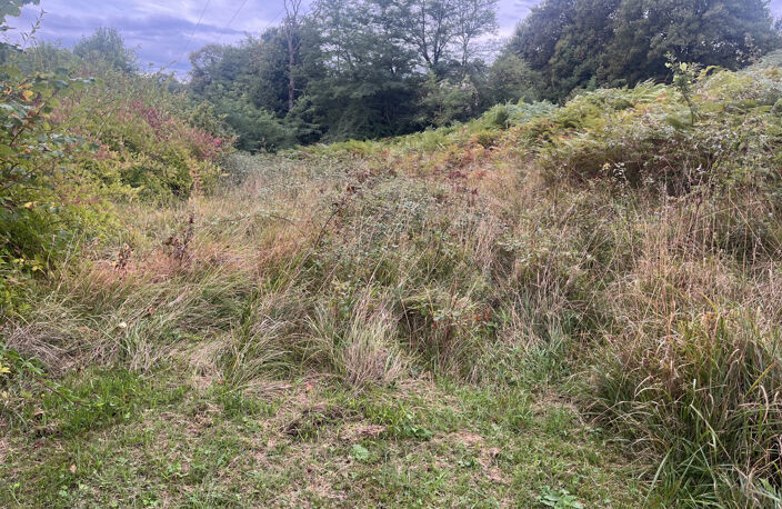 Maison en pierres à restaurer à Sarlat avec 26000 m2 de terr — photo 3