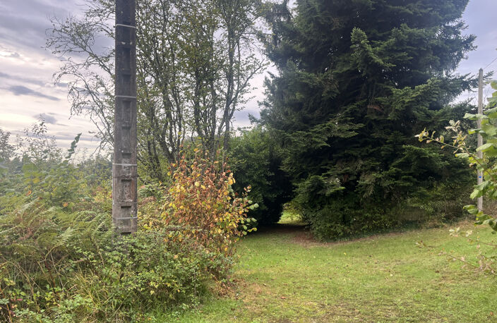 Maison en pierres à restaurer à Sarlat avec 26000 m2 de terr — photo 4