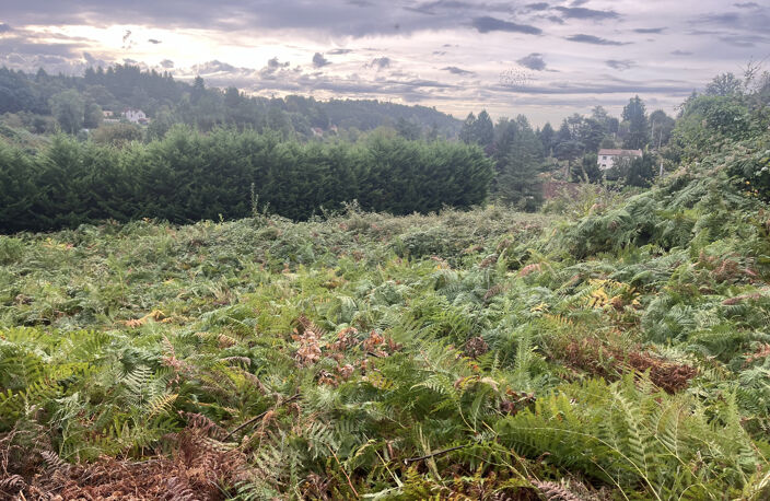 Maison en pierres à restaurer à Sarlat avec 26000 m2 de terr — photo 5