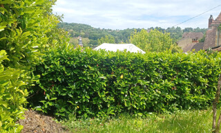 Photo N° 5