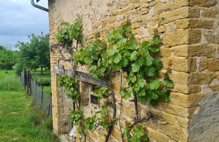 GRANGE avec Terrain : Idéal projet habitation ou investissem — photo 3