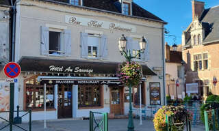 Commerce  450 m² à vendre à Lorris (45260)