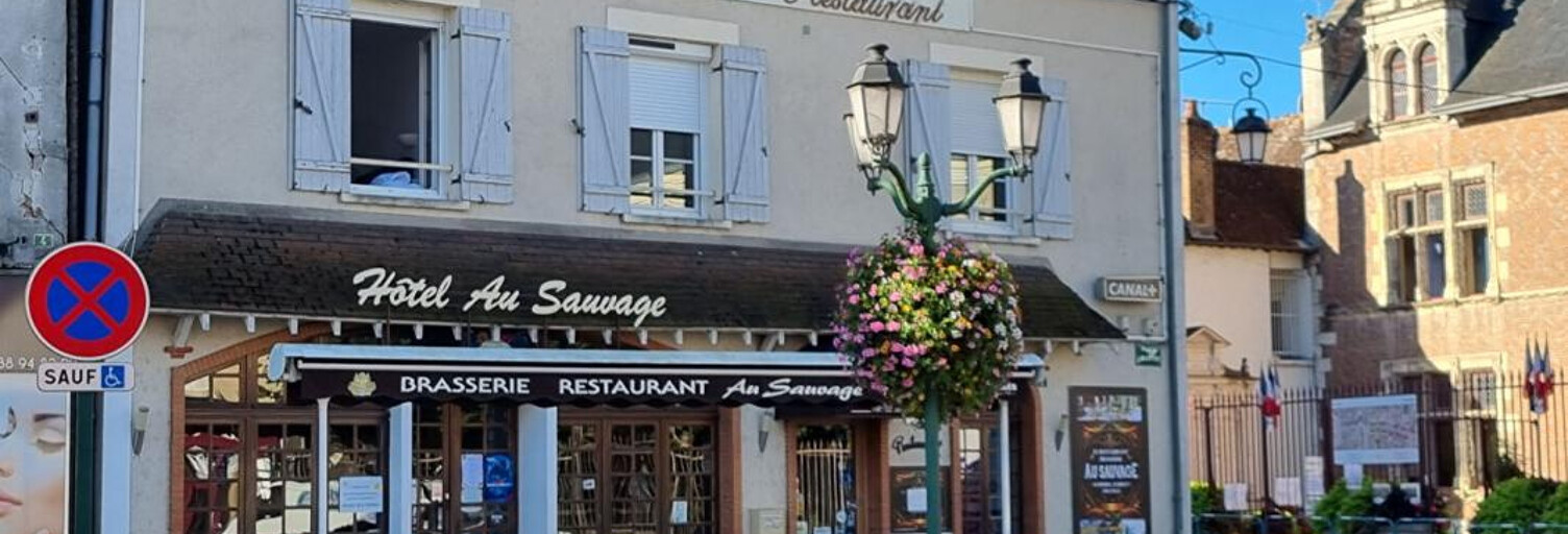 Commerce  450 m² à vendre à Lorris (45260)