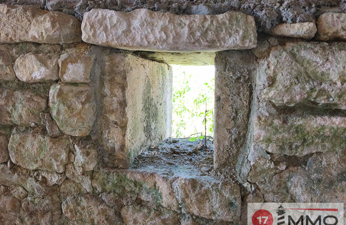 Maison  Atypique Thaire  à Finir de rénover — photo 4