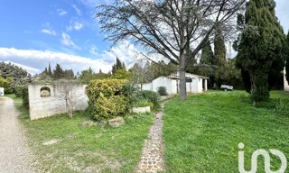 Photo N° 6