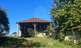 Photo N° 4