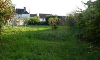 Photo N° 5