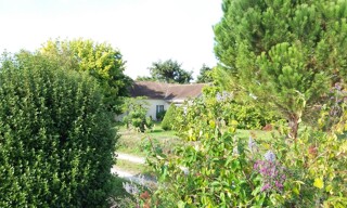 Photo N° 3