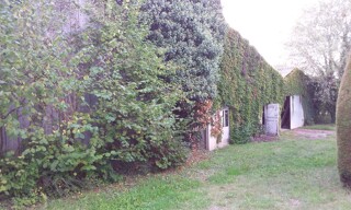 Photo N° 15