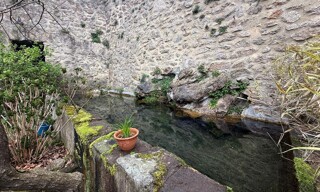 Photo N° 6