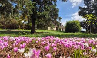 Maison 145 m² en viager Culan (18270)