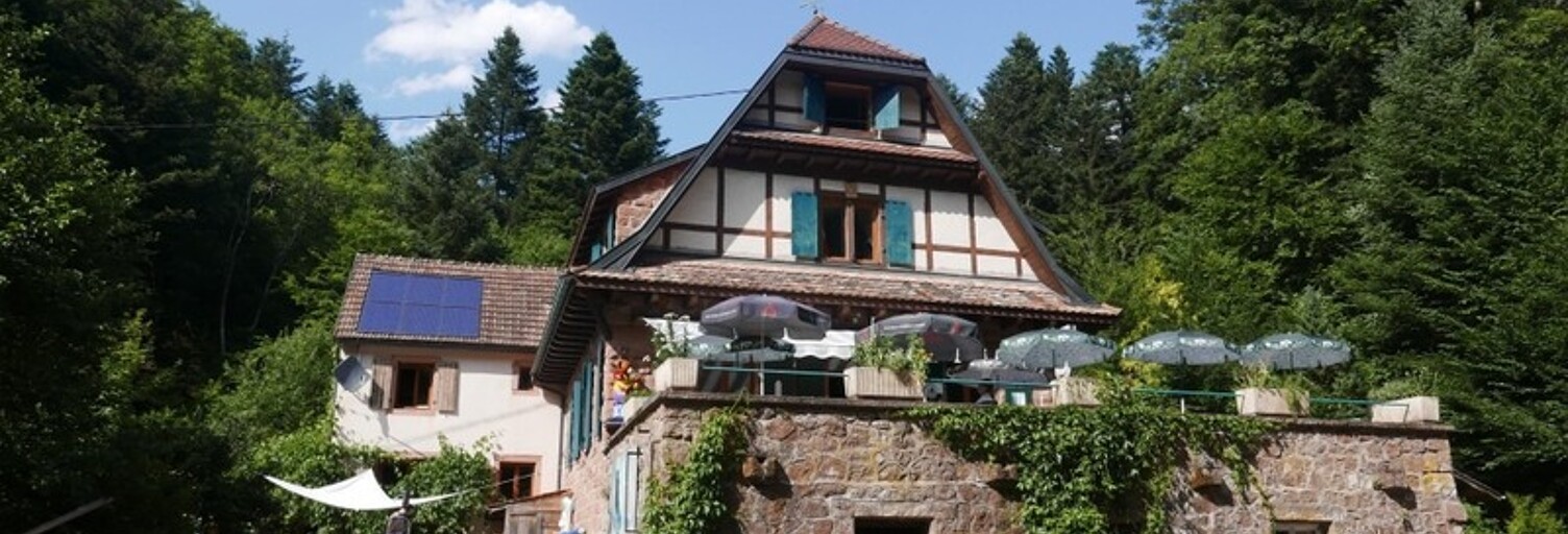 Commerce 14 Pièces 1155 m² à vendre à Obernai (67210)