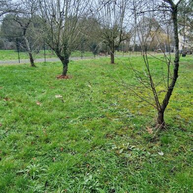 Terrain  75000 €