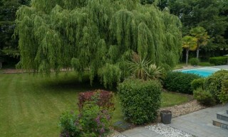 Photo N° 13