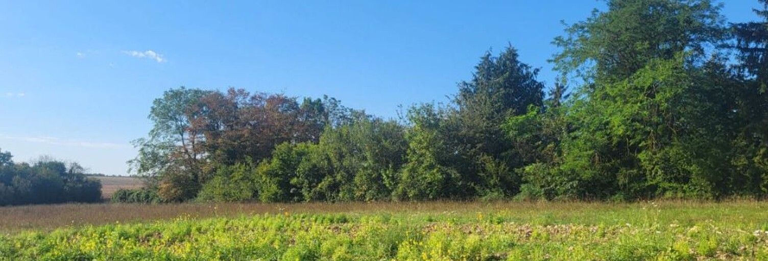 Terrain  554 m² à vendre à Houdan (78550)