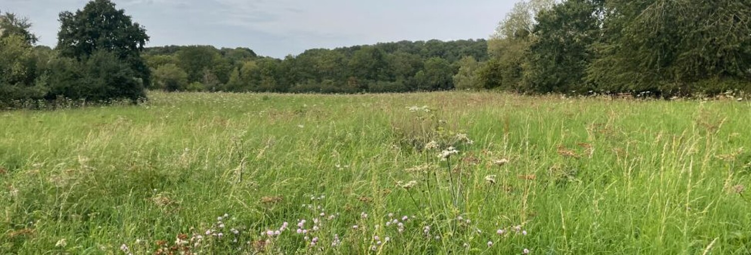 Terrain  433 m² à vendre à Pecqueuse (91470)