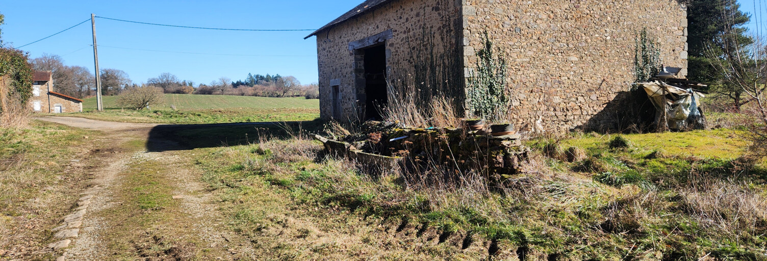 Maison 1 Pièce 120 m² à vendre à Saint-Léonard-de-Noblat (87400)