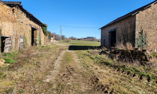 Photo N° 6