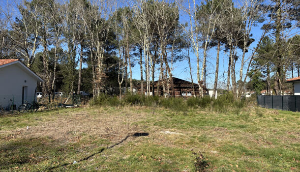 Terrain  à vendre Magescq 40140