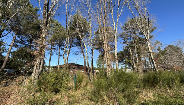 Terrain  à vendre Magescq 40140