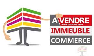 Immeuble  300 m² à vendre à Tigy (45510)