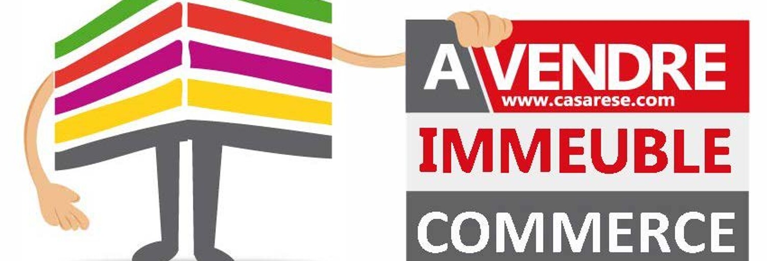 Immeuble  300 m² à vendre à Tigy (45510)