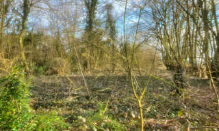 Terrain  6416 m² à vendre à Villers-Cotterêts (02600)