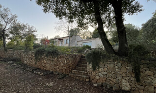 Photo N° 5