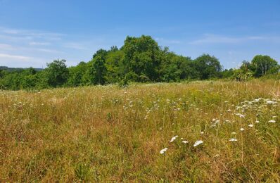 terrain  pièces 600 m2 à vendre à Saint-Christoly-de-Blaye (33920)