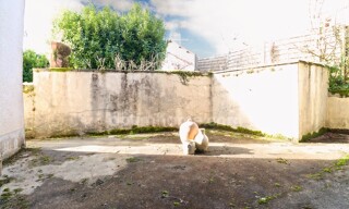 Photo N° 18