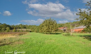 Photo N° 16