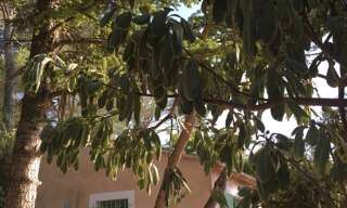 Appartement 1 Pièce 35 m² à louer à Nîmes (30000)