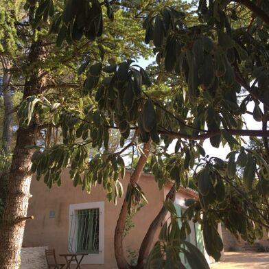 Appartement 1 pièces 450 €