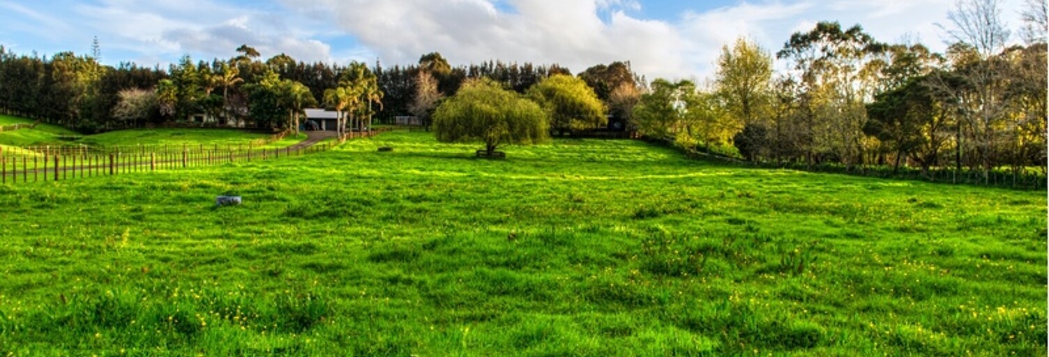 Terrain  828 m² à vendre à Lattes (34970)