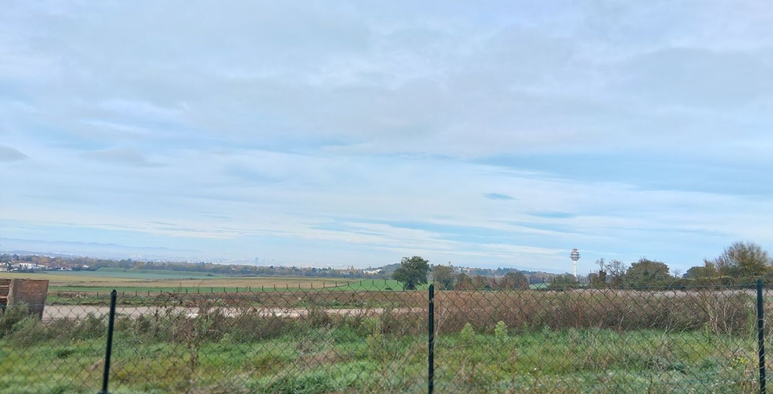 Terrain — photo 1