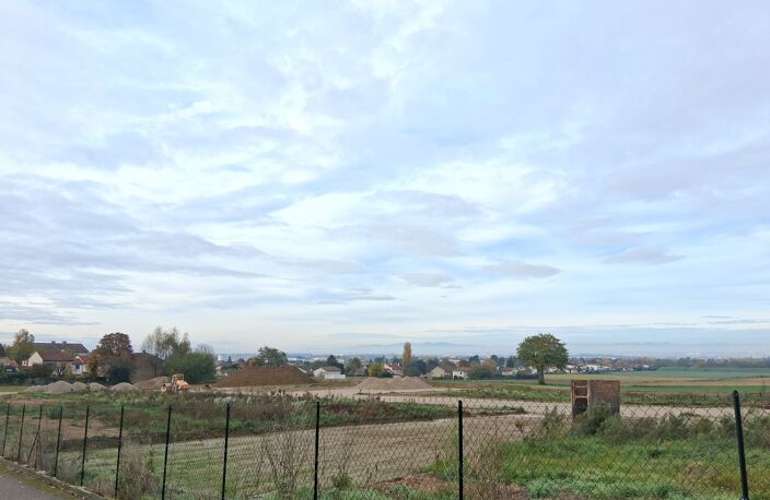 Terrain — photo 2