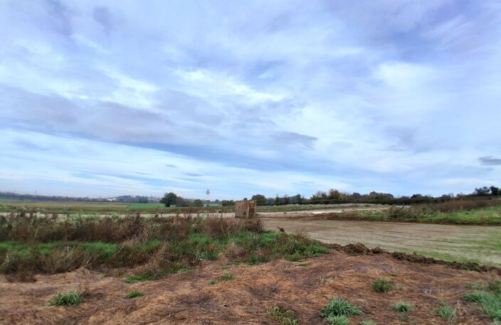 Terrain — photo 3