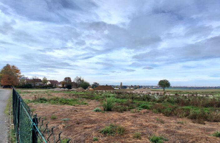 Terrain — photo 4