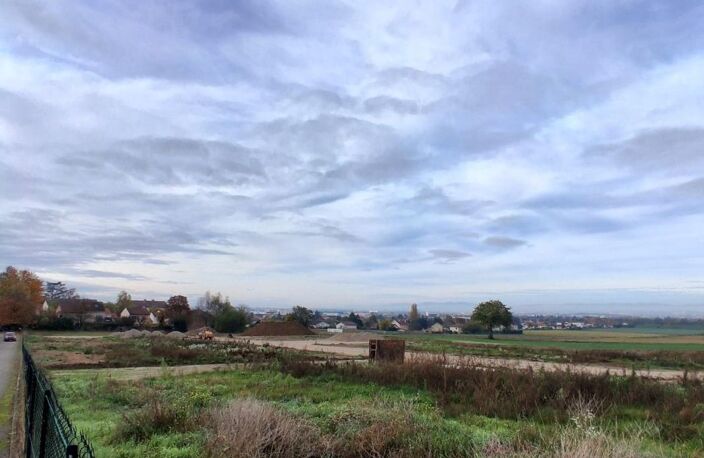 Terrain — photo 5