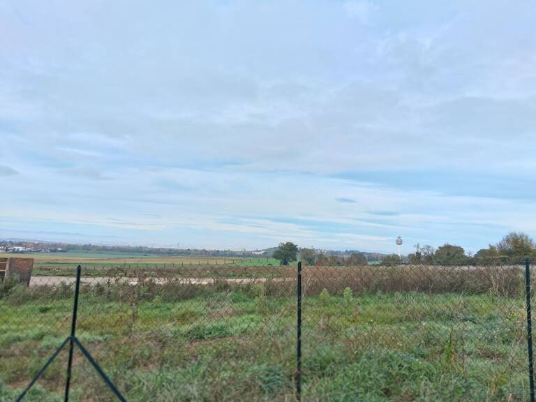 Terrain — photo 1